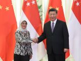 习近平会见新加坡总统哈莉玛