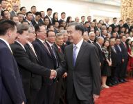汪洋会见台企联第五届会员代表大会代表