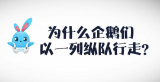 《好兔为什么》25：企鹅为什么能排队行走？