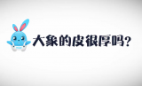 《好兔为什么》29：大象为什么朝身上喷泥浆？