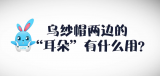 《好兔为什么》37：乌纱帽上的“耳朵”是做什么用的？