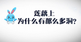 《好兔为什么》38：莲藕上为什么有这么多洞？