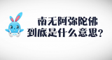 《好兔为什么》48：南无阿弥陀佛是什么意思？