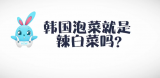 《好兔为什么》53：韩国泡菜就是辣白菜吗？