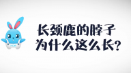 《好兔为什么》23：长颈鹿脖子这么长？