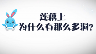 《好兔为什么》38：莲藕上为什么有这么多洞？