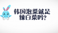 《好兔为什么》53：韩国泡菜就是辣白菜吗？