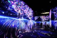 北京世园会：探秘植物馆里的“奇妙世界”