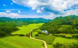 牛凤瑞：推进生态文明 建设美丽中国