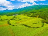 推进生态文明 建设美丽中国