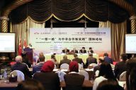 “一带一路”与中非合作新实践国际论坛在埃及举行