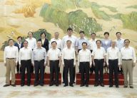 汪洋接见全国政协中非友好小组成员