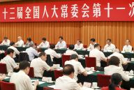 十三届全国人大常委会第十一次会议举行联组会议 