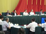 汪洋出席“加强农村基本公共文化服务建设”专题协商会并讲话