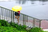北京：小雨送别三伏