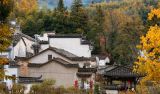 于法有据，让农民在改革中受益