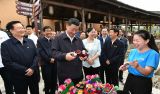 习近平考察新县田铺乡田铺大塆