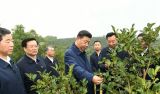 习近平：路子找到了，就要大胆去做