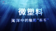 微塑料，海洋中的隐形杀手