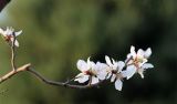 让英模精神春风化雨