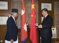 习近平会见尼泊尔大会党主席德乌帕