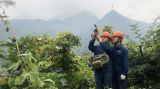 20多个春节没回家 他是穿越悬崖峭壁的秦岭深山巡线员