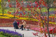 玉渊潭公园秋花妍丽秋意浓浓