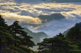 安徽：黄山雨后现云海