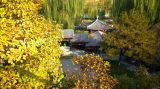 北京北二环“古河花雨”景观秋色迷人