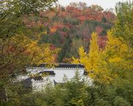 北宫森林公园秋天景色宜人 风景如画