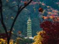 北京秋日里的香山琉璃塔