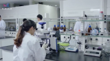 《科普中国》——脑科学的研究计划与应用