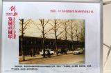 中关村创新发展40年老照片（6）