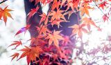 建立不忘初心、牢记使命的制度