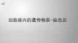 《科普中国》——细胞核内的遗传物质——染色质