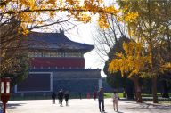 北京天坛公园初冬景美如画