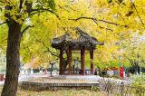 地坛公园秋色满园 风景如画