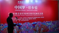 百余幅广西靖西壮族农民画在中华世纪坛展出