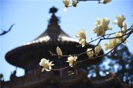 北京故宫 美了百年 不曾遗忘