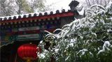 素雪装扮的大观园尽显静宜冬色