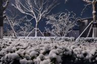 北京城市副中心雪后美景！