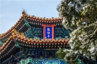 北京市民一早登景山赏雪景