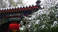 素雪装扮的大观园尽显静宜冬色