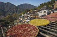 江西：婺源篁岭晒秋图