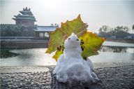 雪后角楼嗨翻了
