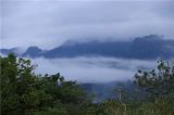 云南西双版纳热带雨林美景