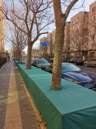 北京市海淀区世纪城街道越冬绿化管护规范