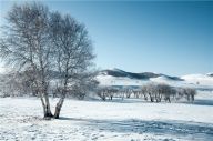 河北：冬日晴雪塞罕坝