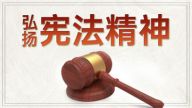 理论角度看宪法：宪法是什么