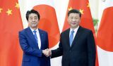 习近平会见日本首相安倍晋三